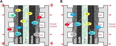 Methods for Remit Voltage Reversal of Proton Exchange Membrane Fuel Cells